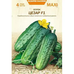 Насіння огірка Насіння України Maxi Цезар F1 4 г (680300)