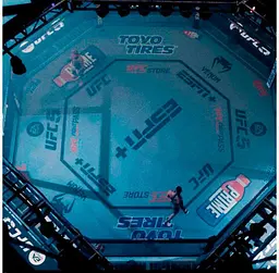 Гра EA SPORTS UFC 5 для PS5 (EN) [93375] - мініатюра 4