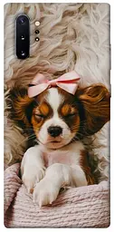 TPU чохол Demsky Sleepy spaniel для Samsung Galaxy Note 10 Plus