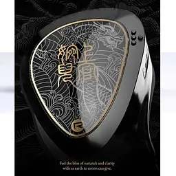 Дротові IEM навушники Tangzu Waner SG 2 with MIC Type-C (Чорний) - мініатюра 5