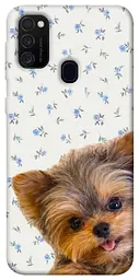 TPU чохол Demsky Cute Yorkie для Samsung Galaxy M30s / M21