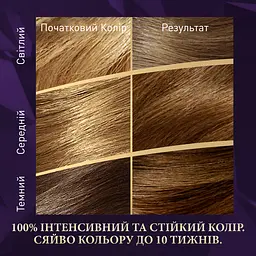 Стійка крем-фарба для волосся Wella Color Perfect 6/0 Темно-русий (4064666598321) - мініатюра 3