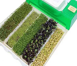 Мікроферма EasyGreen EGL 55 - мініатюра 6