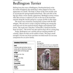 Dog Breeds: Characteristics, Breeds, Care, Origins - Джексон Том - мініатюра 5