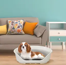 Пластиковий лежак для собак і котів Ferplast Siesta Deluxe 6 білий 70,5×52×23,5 см 70206911 - мініатюра 3