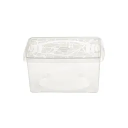 Контейнер для зберігання Selfy Box 39x30x15h, 12 л прозорий