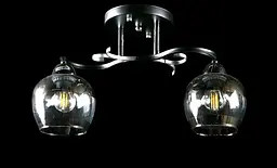 Люстра стельова Splendid Ray L8411/2A, 2 лампи E27, чорний, хром, сучасний стиль