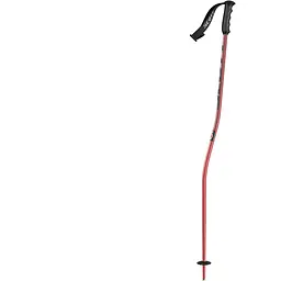Палиці гірськолижні Scott JR Team Issue GS 95 Червоний (1081-272696.0004.074)