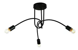 Люстри Loft Levistella 761WG03-3 BK