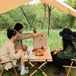 Туристичний холодильник Naturehike CNK2300BS011, 33 л, бежевий - мініатюра 5