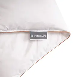 Ковдра Penelope - Bronze 8,5 tog пухова 240x260 Super King size - мініатюра 6