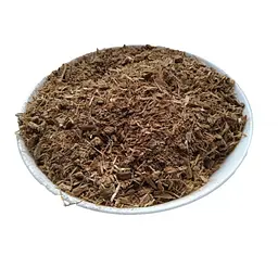 Дуб Кора Quercus robur - мініатюра 1