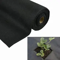 Агроволокно для полуниці Чорне 50 г/м2 (50 UV) 1,6 × 100 м, спанбонд для мульчування | агротканина (ST) - мініатюра 4