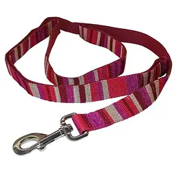 Coastal Pet Attire Weave повідок для собак 2.5см х 1.2м