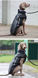 Світловідбивна утеплена зимова куртка для собак My World - My Rules, Black/Grey - мініатюра 6