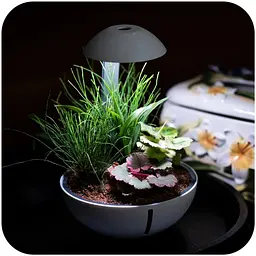 Мінітераріум Chihiros Tiny Terrarium Egg з LED-підсвіткою та керуванням через застосунок - мініатюра 2