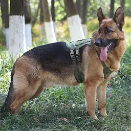 Шлейка для собак Vest, тактичний жилет з ручкою і системою MOLLE, регульований, Зелений М - мініатюра 9