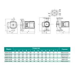 Циркуляційний насос SHIMGE XPS50-16F-280 - мініатюра 3