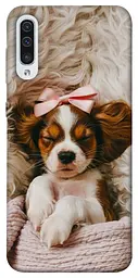 TPU чохол Demsky Sleepy spaniel для Samsung Galaxy A50 (A505F) / A50s / A30s