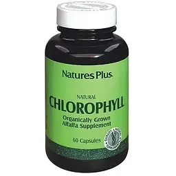Хлорофіл органічний NaturesPlus 60 капсул
