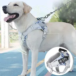 Нагрудна шлея для собак Reflective safety chest harness for pet dogs, L Блакитний - мініатюра 2