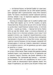 Таємниця химерної пасіки, або Шалені шершні - мініатюра 11