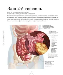 Вагітність день за днем - Меггі Блотт - мініатюра 13