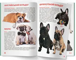 Велика книжка. Собаки - Олег Зав'язкин - мініатюра 4