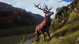 Гра Sony PlayStation 5 Way of the Hunter: Hunting Season One Російські субтитри Б/в - мініатюра 7