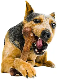 Жувальна кістка для собак Pet Qwerks Extreme Dinosaur BarkBone - мініатюра 5
