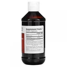 Чорна бузина Protocol for Life Balance Sambucus Black Elderberry Liquid 237 мл - мініатюра 2