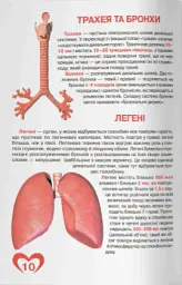 Велика книжка. Анатомія людини - Олег Зав'язкин - мініатюра 2