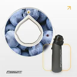 Капсула “Чорниця” для пляшки EasyFit Air Up