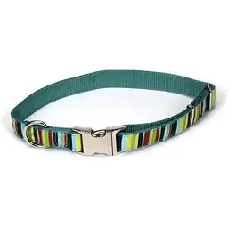 Нашийник для собак Coastal Pet Attire Ribbon Мультиколор 2,5 x 46-66 см