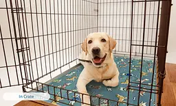 Літня охолодна підстилка для собак Derby Ice Silk Summer Pet Cooling Mat Dog Pattern - Blue 50х70 см - мініатюра 5