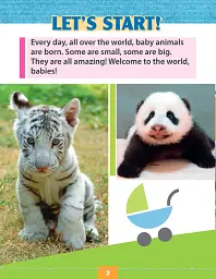 Baby Animals - мініатюра 2