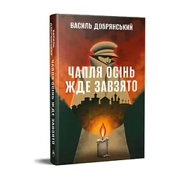 Книга Чапля осінь жде завзято - Василь Добрянський Видавництво РМ (9786178639730) - мініатюра 3