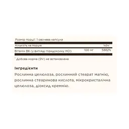 Вітамін B6 Vitamin B6 100mg - 100 vcaps - мініатюра 2