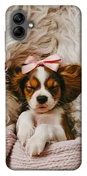 TPU чохол Demsky Sleepy spaniel для Samsung Galaxy A04