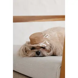 Панама Pet Fashion Print для собак М - мініатюра 6