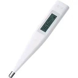 Розумний термометр Mi Home Mijia MMC-W505 NUN4059CN