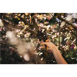 Контактний секатор Fiskars PowerStep P83 з храповим механізмом (1000575) - мініатюра 9