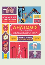 Крутезна інфографіка : Анатомія