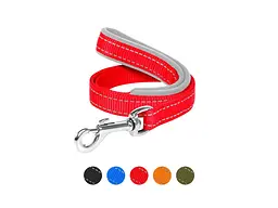 Повідець для собак Dog Extreme з нейлону з прогумованою ручкою Ш 20 мм Д 122 см червоний (43153)