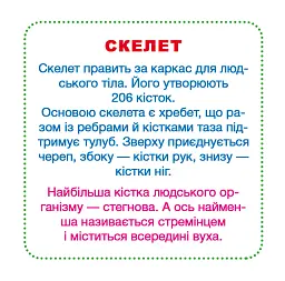 Розумні картки. Моє тіло. 30 карток - мініатюра 3
