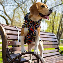 Дощовик для собак з капюшоном Barksi Textile розмір М Гравітація - мініатюра 5