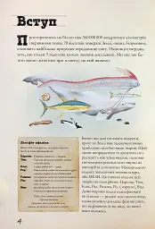 Морські тварини світу. Нотатки, малюнки та спостереження про тварин, що живуть в океані - Хуан Карлос Алонсо - миниатюра 6