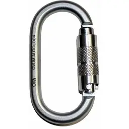 Карабін First Ascent Ovum Autolock Keylock (1060-FA 8008)