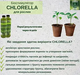 Суспензія хлорели 1 л - мініатюра 2