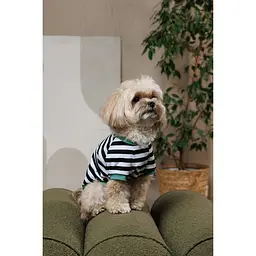 Футболка Pet Fashion Breeze для собак XХS - мініатюра 6